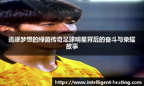 追逐梦想的绿茵传奇足球明星背后的奋斗与荣耀故事